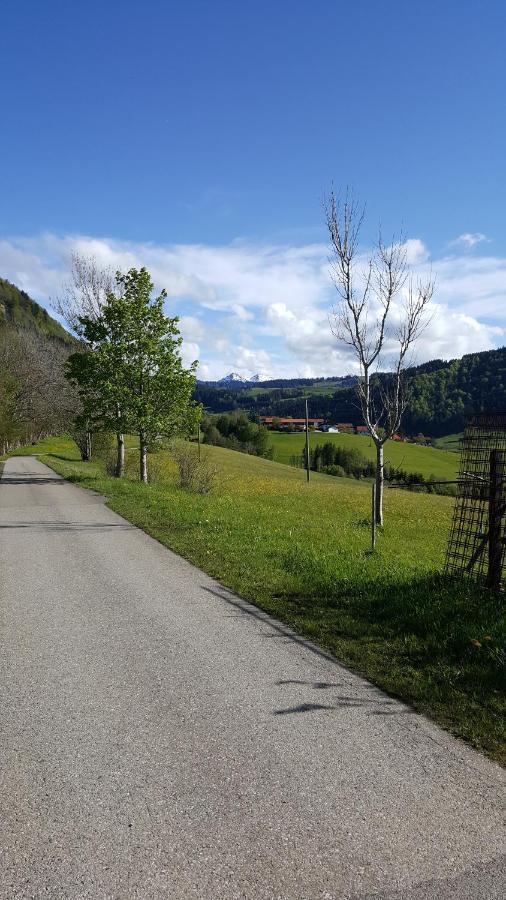 Fewo Friado Im Ferienpark Oa - Ohne Zusatzkosten Nach Anreise - Mit Hallenbad, W-Lan, Pkw-Garage, Kurtaxe Mit Allgaeu-Walser-Pass, Bett- Und Handtuch-Waesche Sowie End-Reinigung Missen-Wilhams Luaran gambar