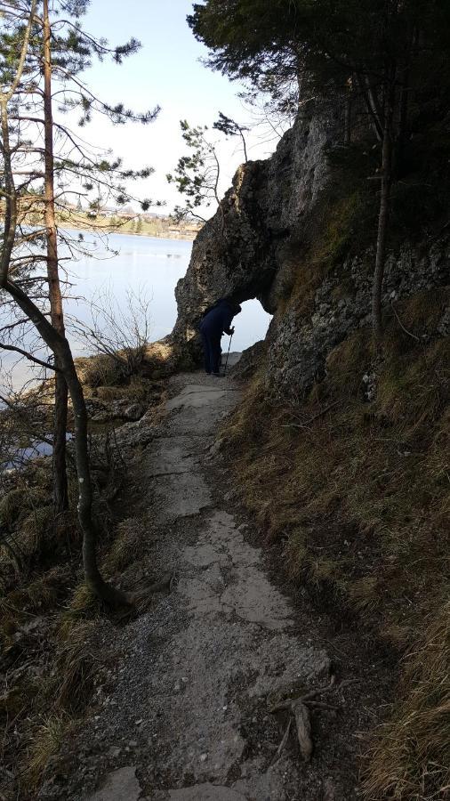 Fewo Friado Im Ferienpark Oa - Ohne Zusatzkosten Nach Anreise - Mit Hallenbad, W-Lan, Pkw-Garage, Kurtaxe Mit Allgaeu-Walser-Pass, Bett- Und Handtuch-Waesche Sowie End-Reinigung Missen-Wilhams Luaran gambar
